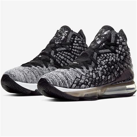 lebron james schoenen